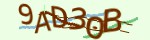 Mã bảo mật